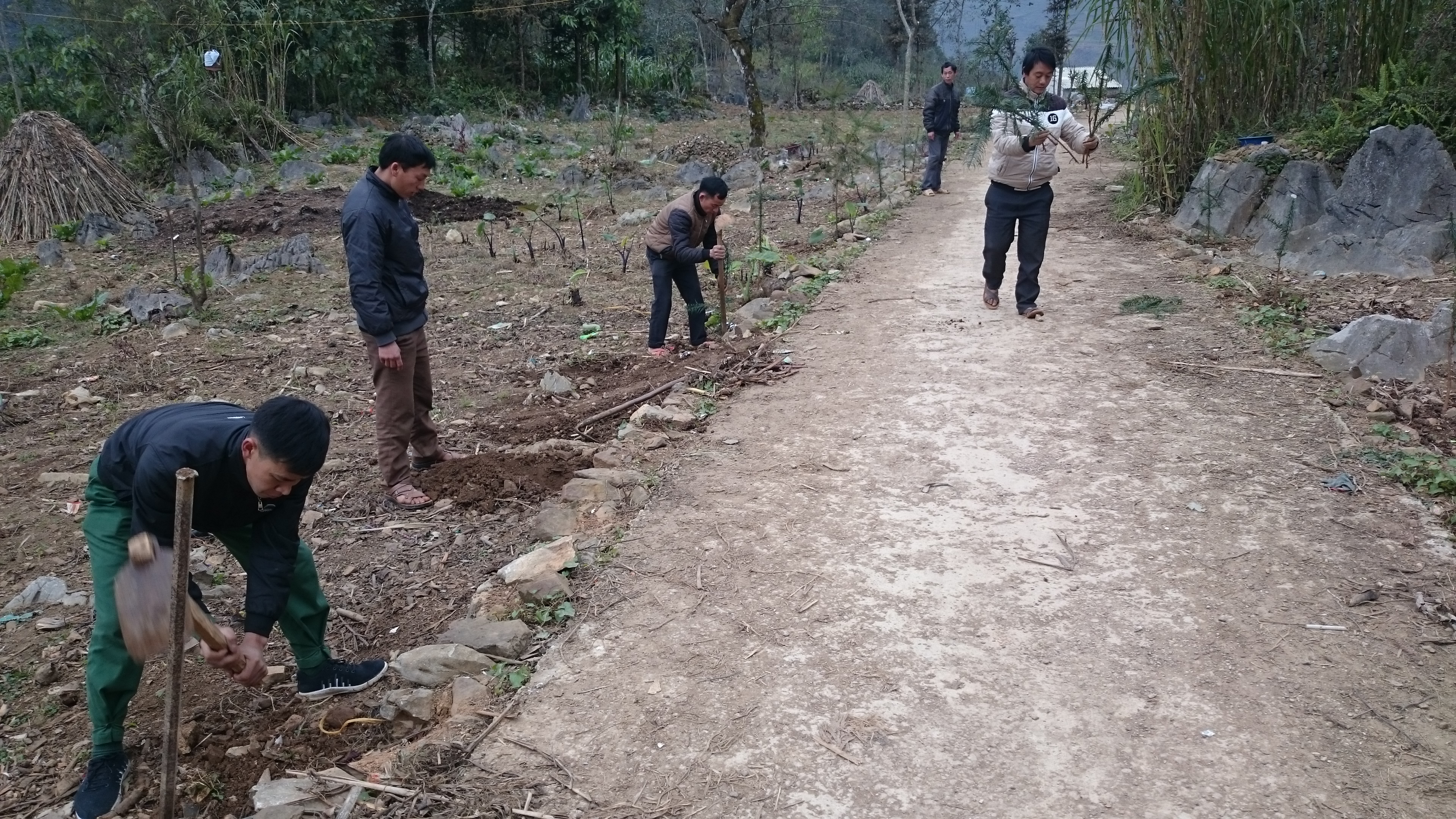 Hội nông dân xã Lũng Phìn tổ chức phát động trồng cây năm 2020 cho các hội viên Hội nông dân